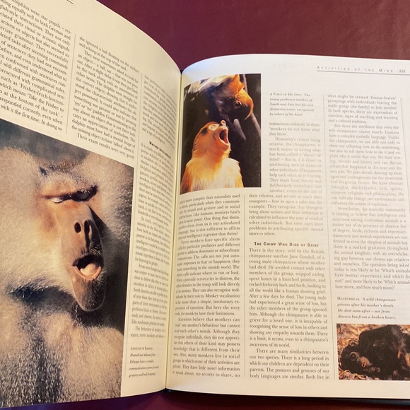 Books:Scholastic Encyclopedia ANIMALS & Reader’s Digest INTELLIGENCE IN ANIMALS - Picture 9 of 16